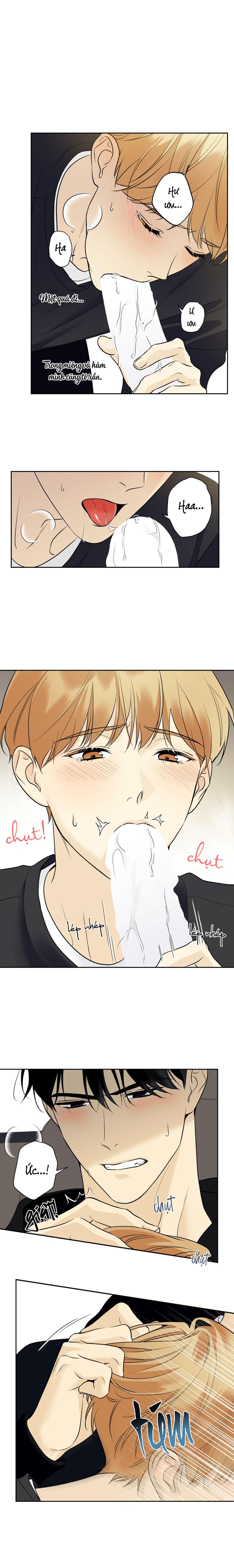 Sao Cậu Lạnh Lùng Vậy? - Chap 41 (H)