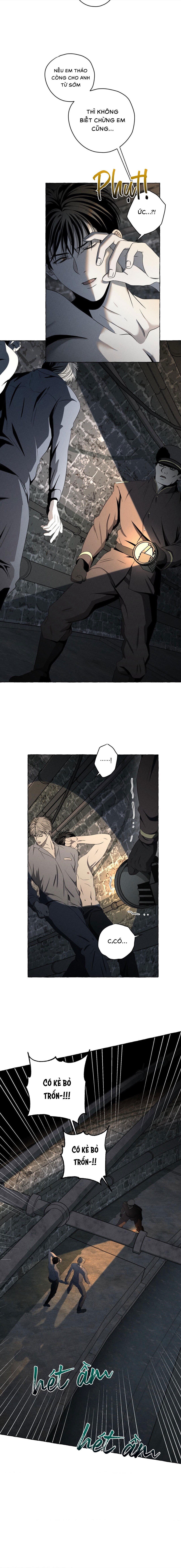 Xương Và Cánh Hoa - Chap 08