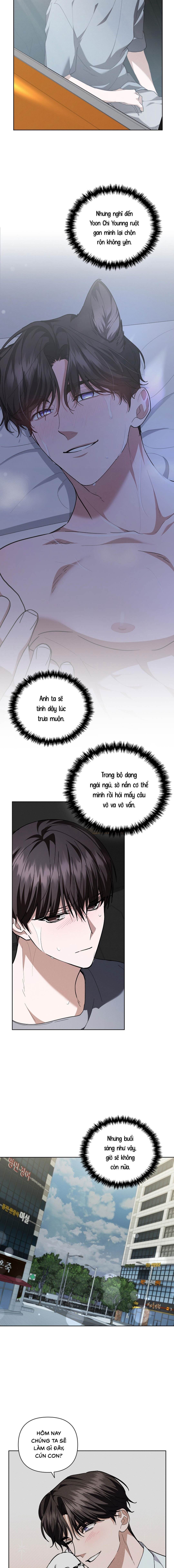 Đừng Chạm Vào Cún Con - Chap 14