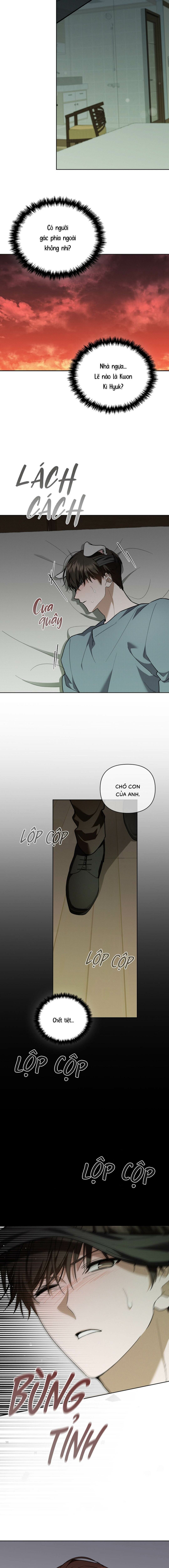 Đừng Chạm Vào Cún Con - Chap 15