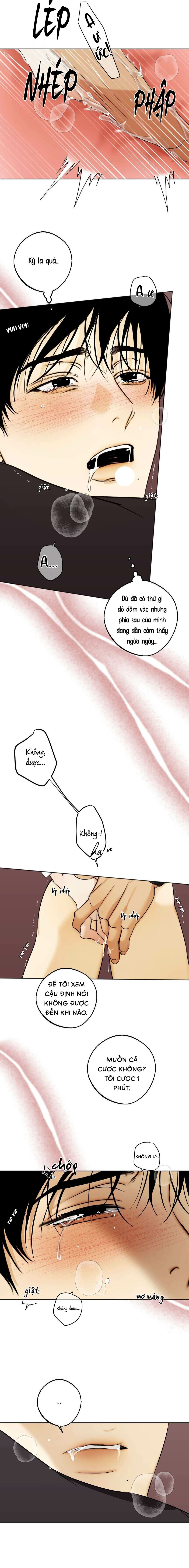 Nô Lệ Omega Sụp Đổ - Chap 02 (H)