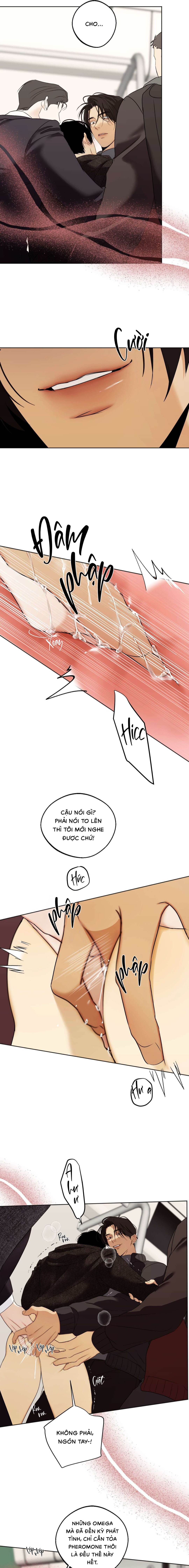 Nô Lệ Omega Sụp Đổ - Chap 02 (H)