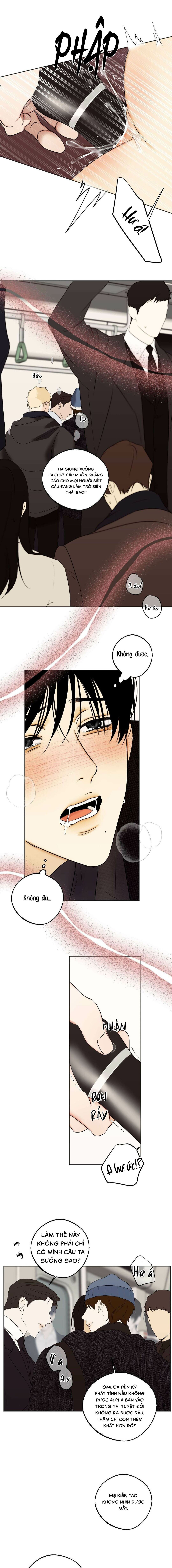 Nô Lệ Omega Sụp Đổ - Chap 02 (H)