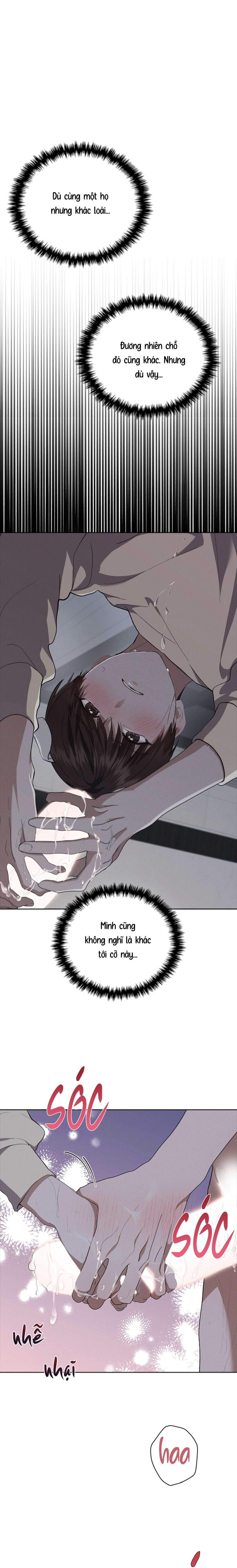 Đừng Chạm Vào Cún Con - Chap 25 (H)