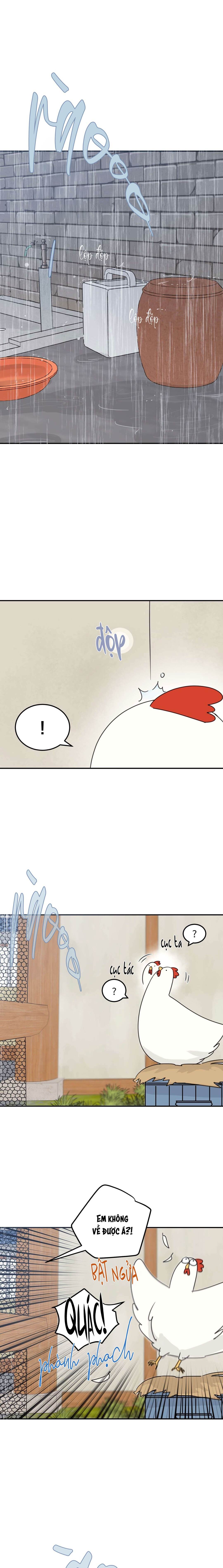 Ngôi Nhà Mặt Trời Mọc - Chap 42