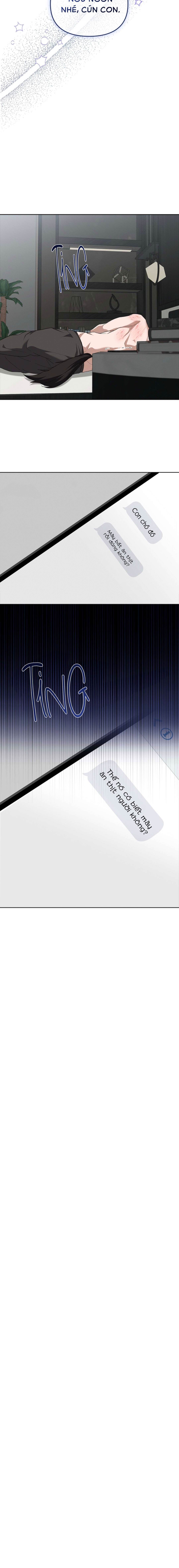 Đừng Chạm Vào Cún Con - Chap 26 (H)