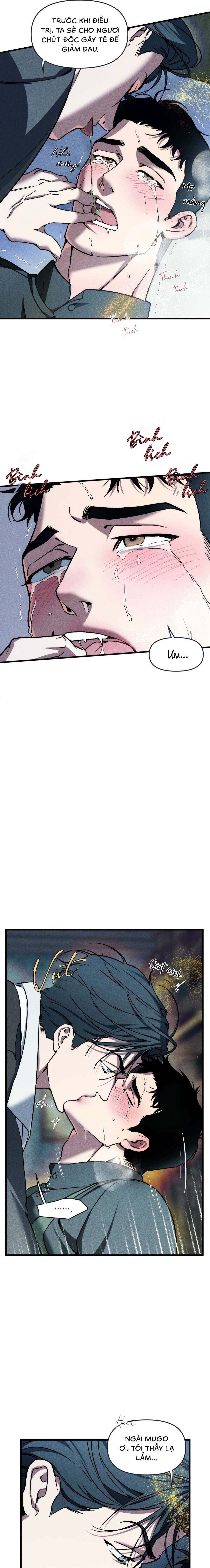 Người Chồng Tế Phẩm - Chap 10