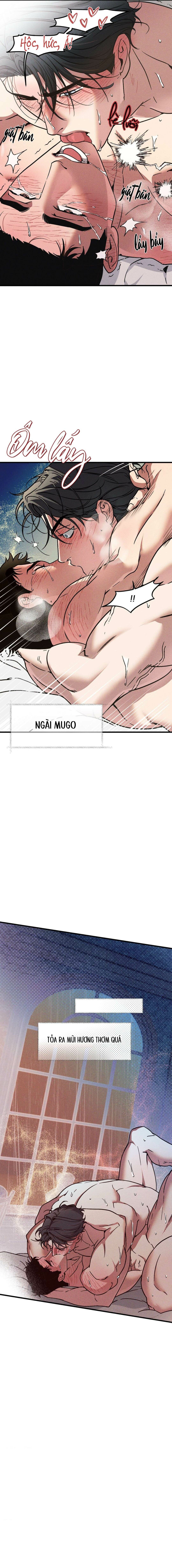 Người Chồng Tế Phẩm - Chap 11 (H)