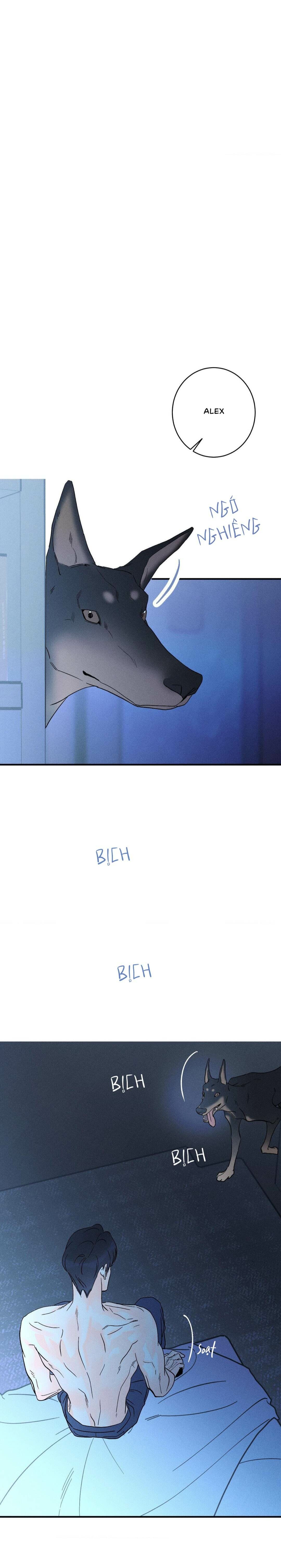 Dù Như Thế Vẫn Thích Sao? - Chap NGOẠI TRUYỆN 5