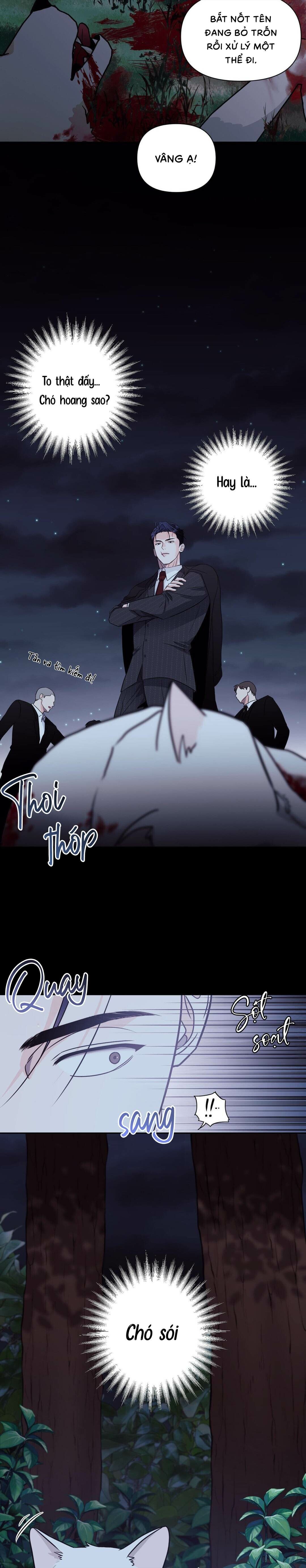 Chàng Sói Đáng Yêu - Chap 01 (H)