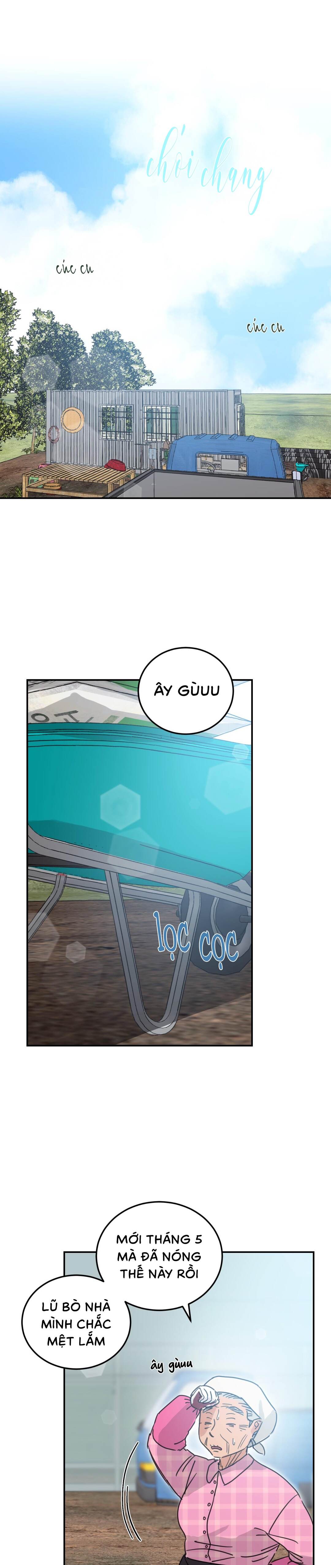 Ngôi Nhà Mặt Trời Mọc - Chap 47