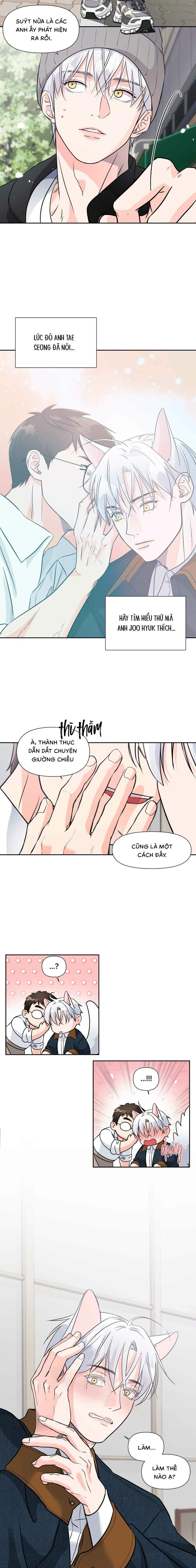 Chàng Sói Đáng Yêu - Chap 11