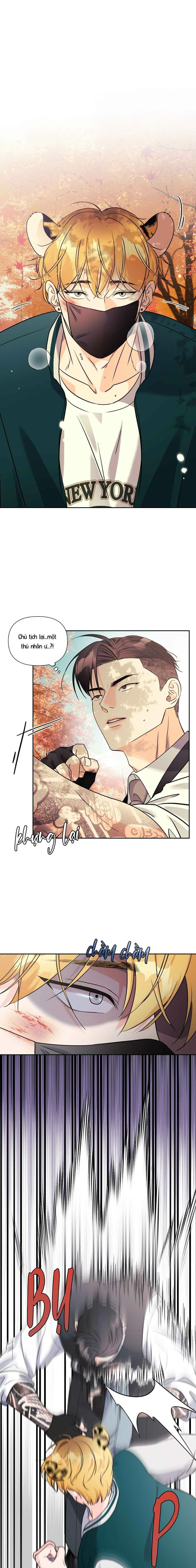 Chàng Sói Đáng Yêu - Chap 11