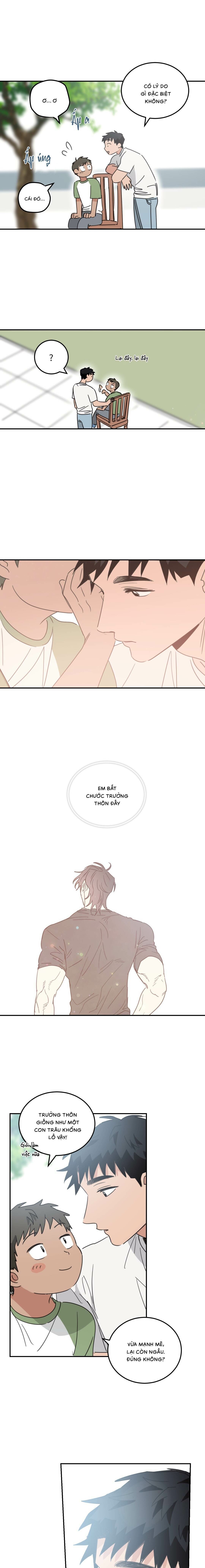 Ngôi Nhà Mặt Trời Mọc - Chap 49