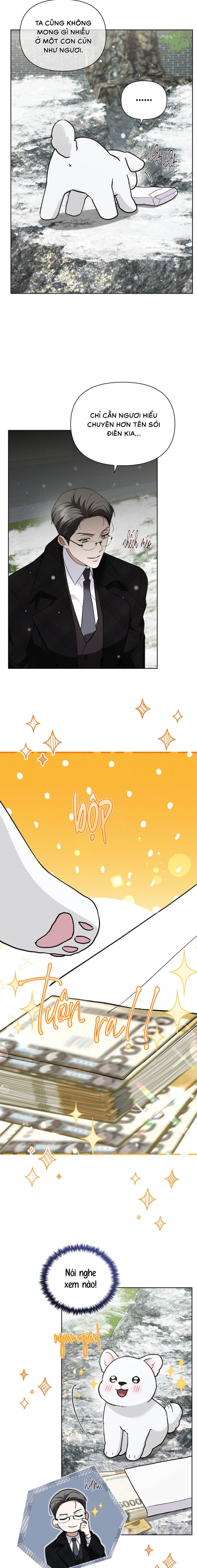 Đừng Chạm Vào Cún Con - Chap 36