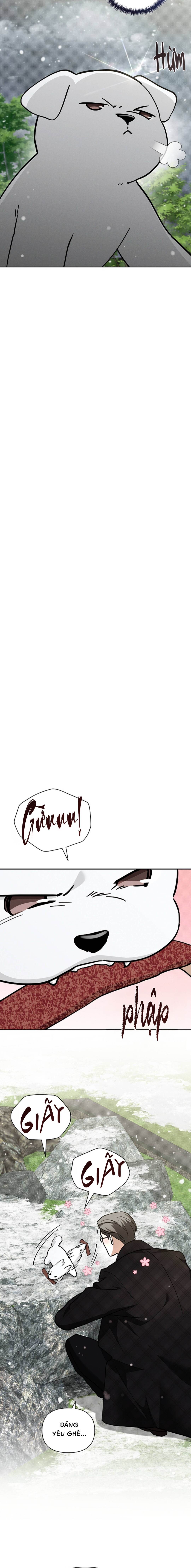 Đừng Chạm Vào Cún Con - Chap 36