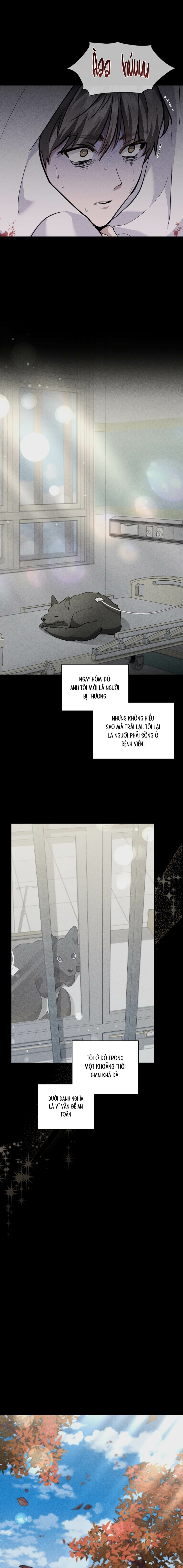 Đừng Chạm Vào Cún Con - Chap 38