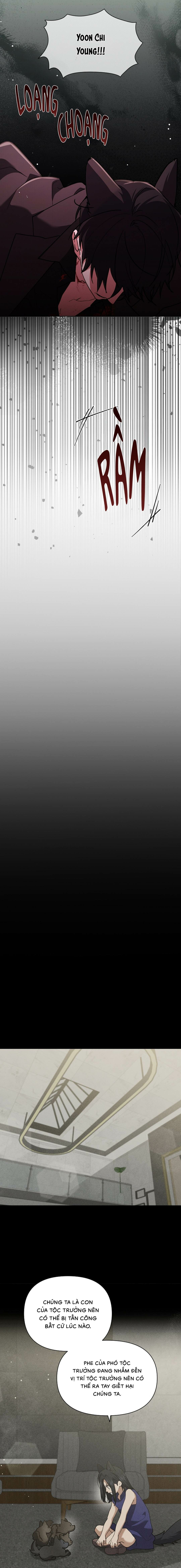 Đừng Chạm Vào Cún Con - Chap 38