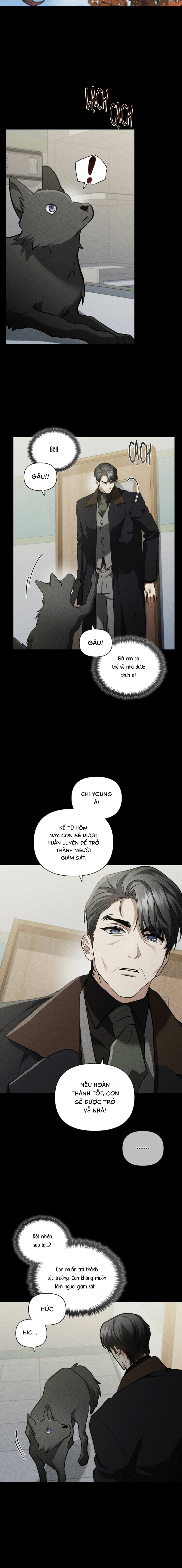 Đừng Chạm Vào Cún Con - Chap 38