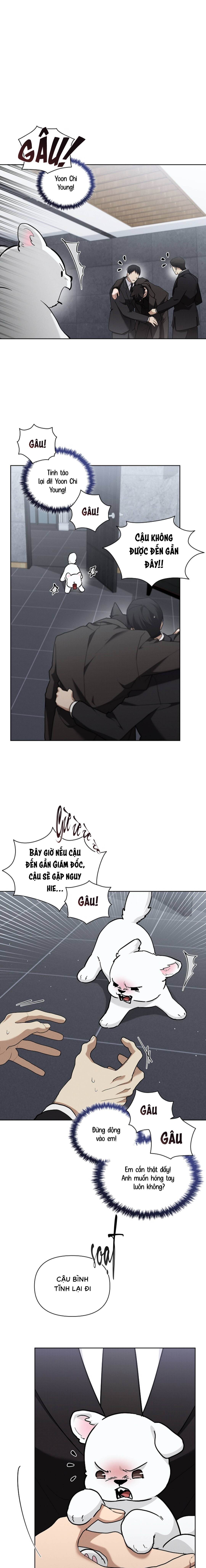 Đừng Chạm Vào Cún Con - Chap 40