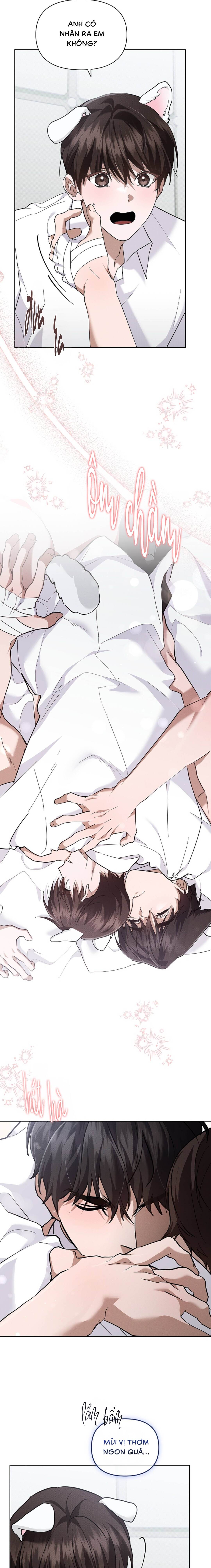 Đừng Chạm Vào Cún Con - Chap 40