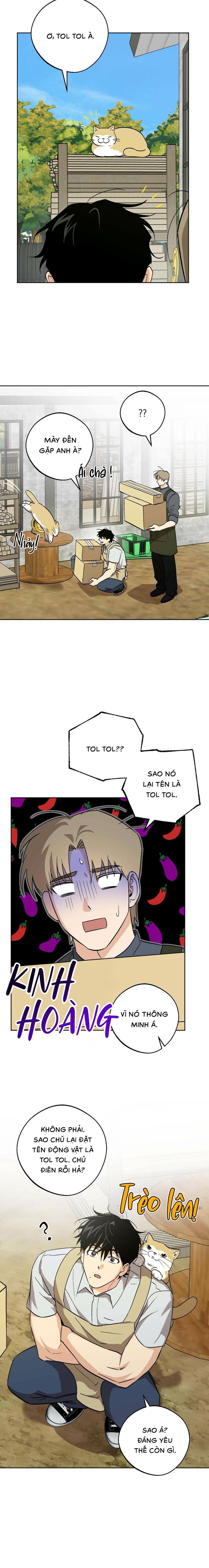 Ước Nguyện Của Ki Won - Chap 17