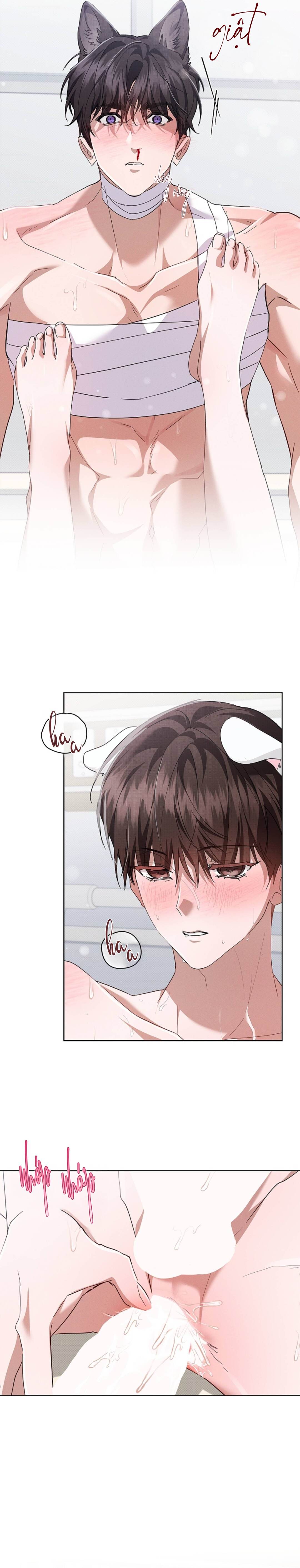 Đừng Chạm Vào Cún Con - Chap 41 (H)