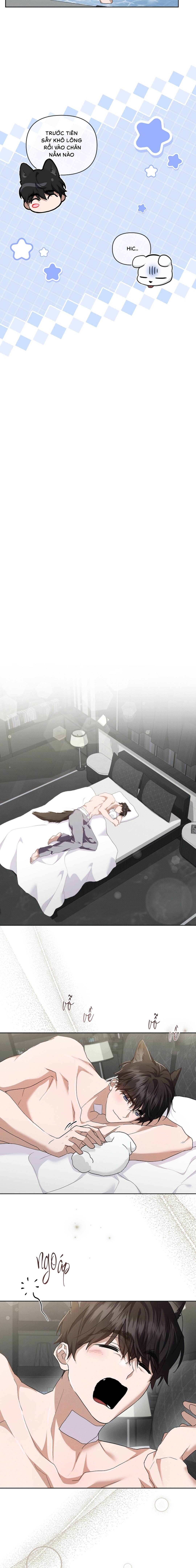 Đừng Chạm Vào Cún Con - Chap 44 (H) (End)