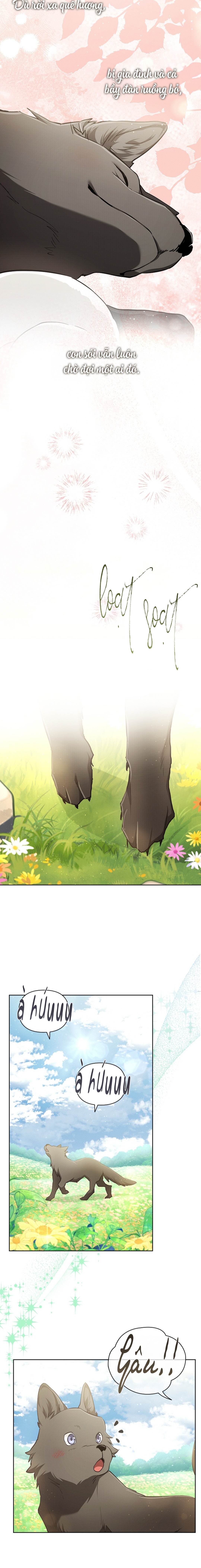 Đừng Chạm Vào Cún Con - Chap 44 (H) (End)