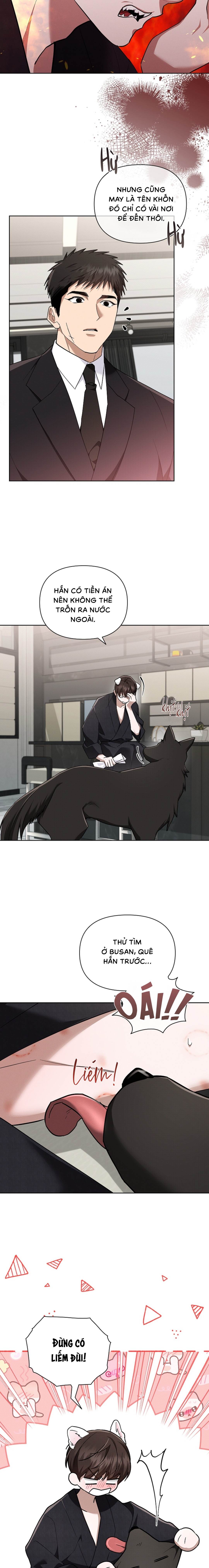 Đừng Chạm Vào Cún Con - Chap NGOẠI TRUYỆN 1