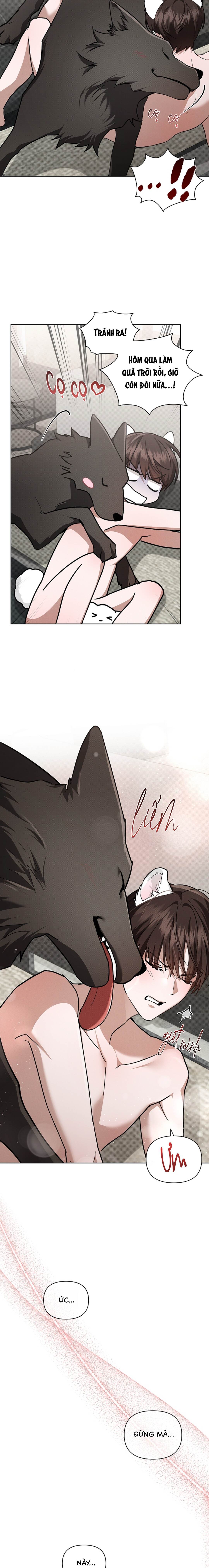 Đừng Chạm Vào Cún Con - Chap NGOẠI TRUYỆN 1