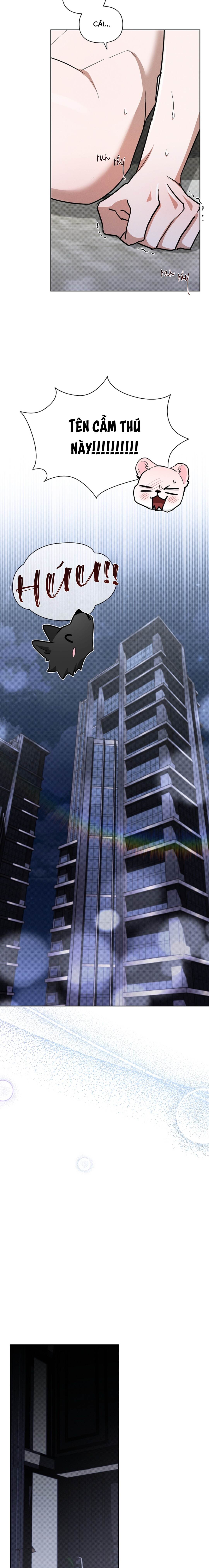 Đừng Chạm Vào Cún Con - Chap NGOẠI TRUYỆN 1