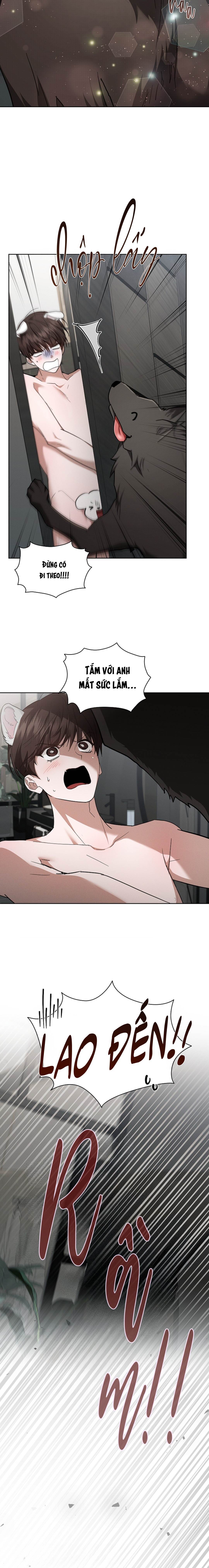 Đừng Chạm Vào Cún Con - Chap NGOẠI TRUYỆN 1