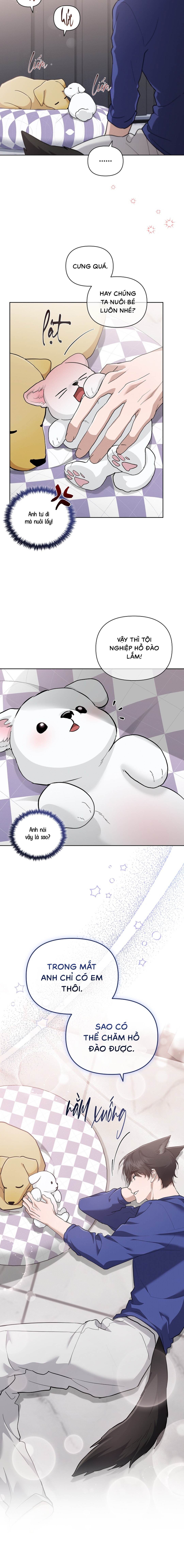 Đừng Chạm Vào Cún Con - Chap NGOẠI TRUYỆN 3 (H)