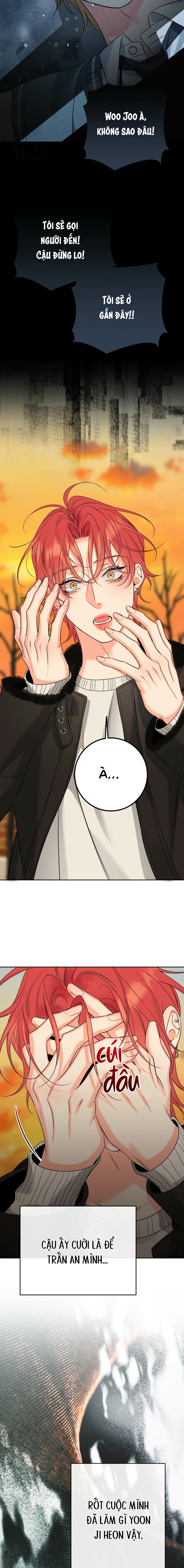 Honey Trouble - Chap 50 (End SS2)