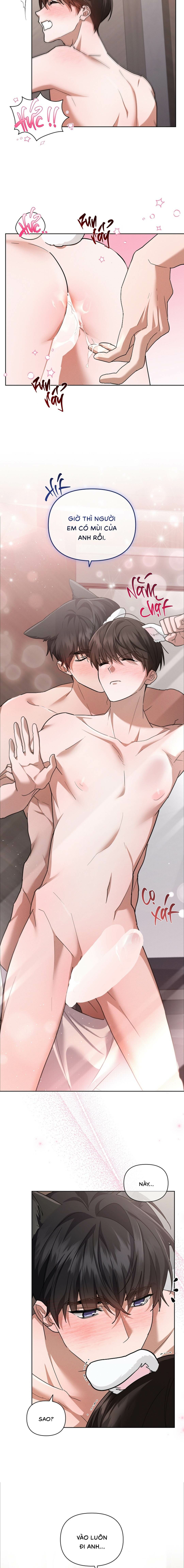 Đừng Chạm Vào Cún Con - Chap NGOẠI TRUYỆN 4 (H)