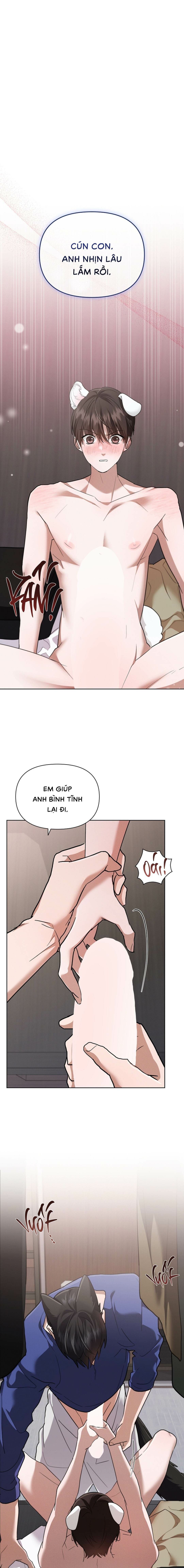 Đừng Chạm Vào Cún Con - Chap NGOẠI TRUYỆN 4 (H)