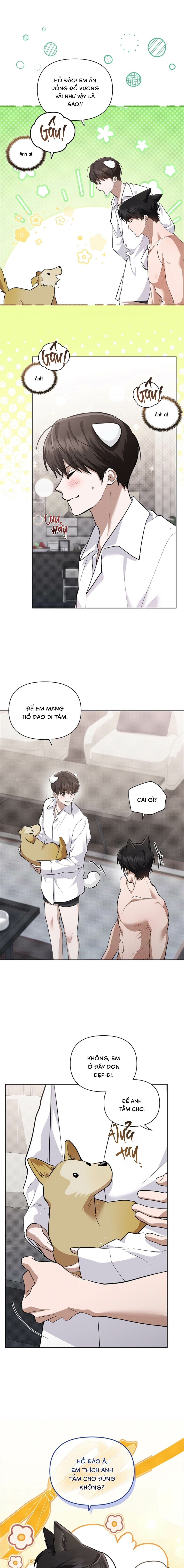 Đừng Chạm Vào Cún Con - Chap NGOẠI TRUYỆN 4 (H)