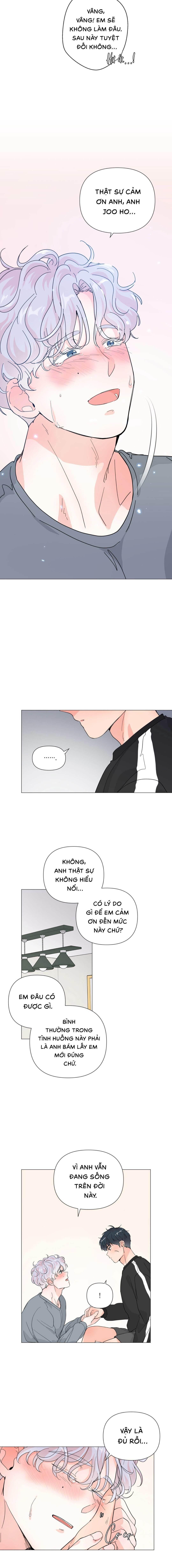 Bánh Sinh Nhật Của Hổ - Chap 06