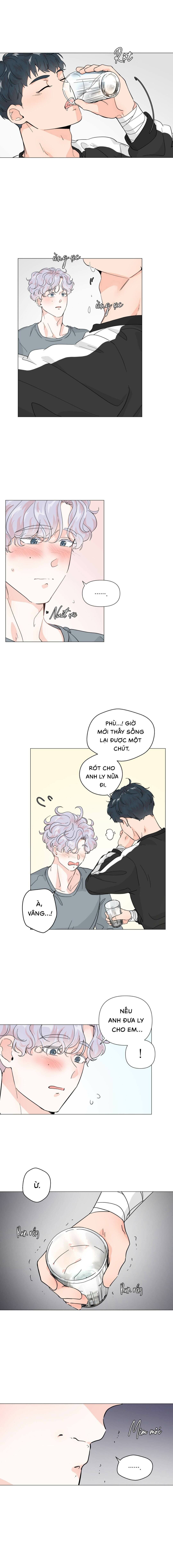 Bánh Sinh Nhật Của Hổ - Chap 06