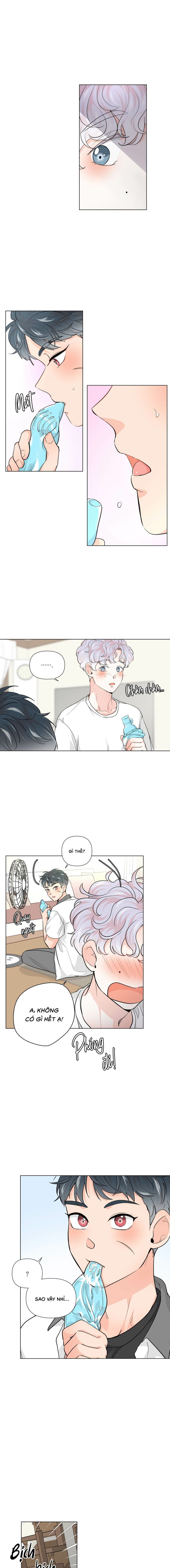 Bánh Sinh Nhật Của Hổ - Chap 04