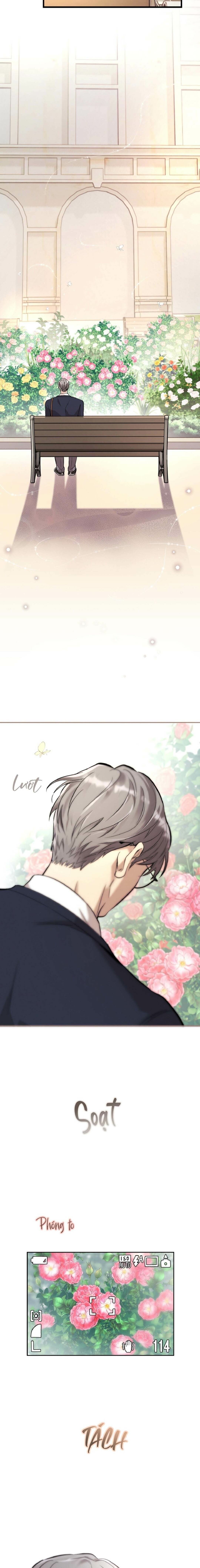 Honey Bear - Chap 70