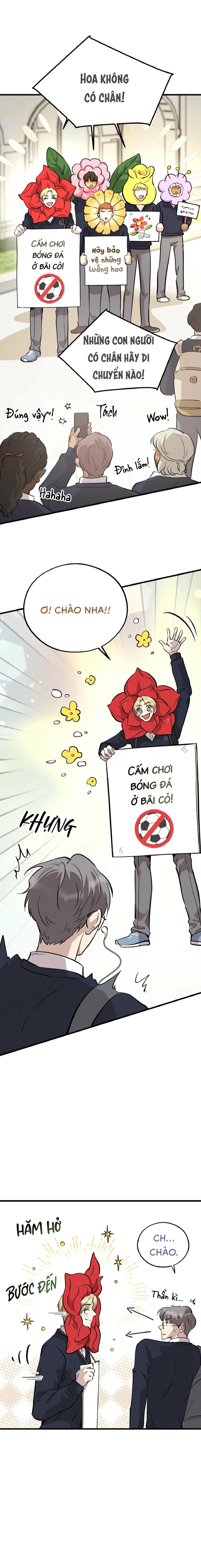 Honey Bear - Chap 70