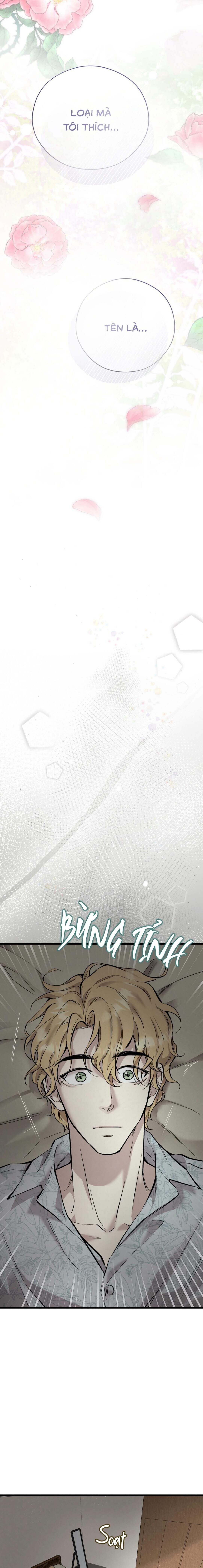 Honey Bear - Chap 70