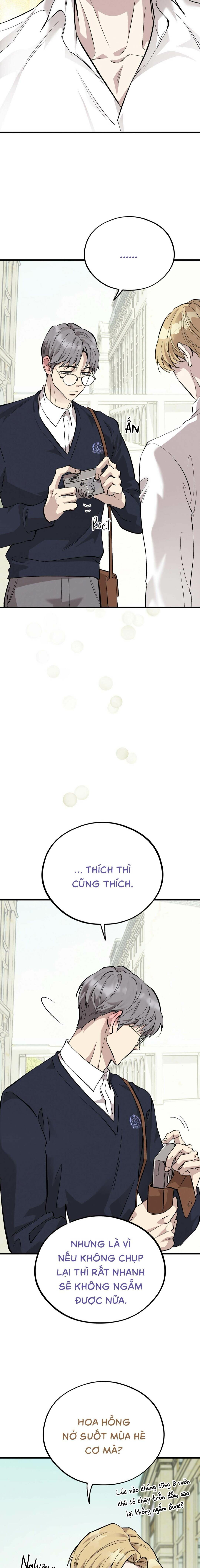 Honey Bear - Chap 70