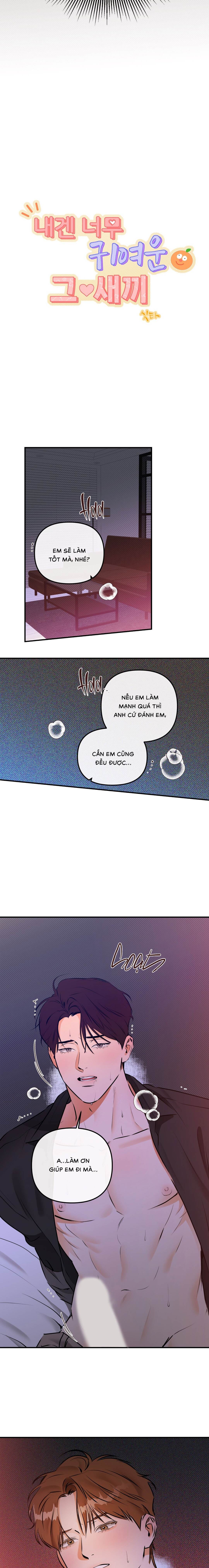 Tên Khốn Đáng Yêu Của Tôi - Chap 12 (H)