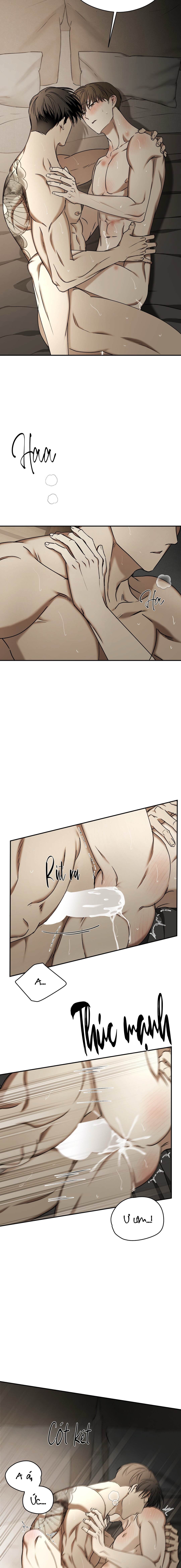 Độc Xà - Chap 48 (H)