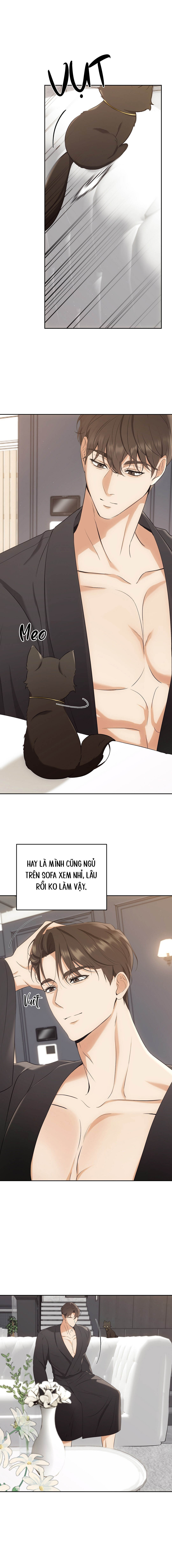 Liệu Pháp Mèo Con - Chap 03