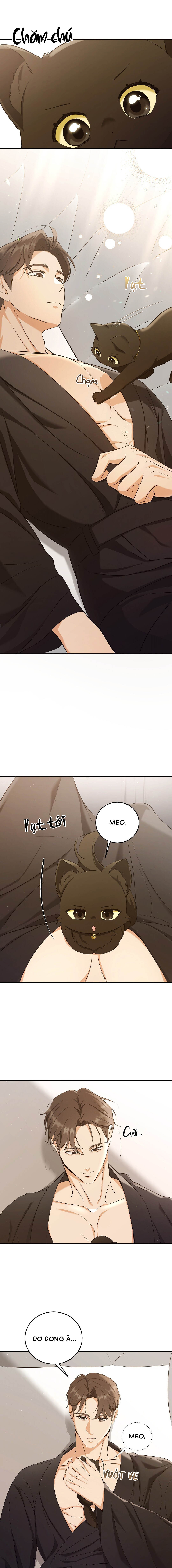 Liệu Pháp Mèo Con - Chap 03