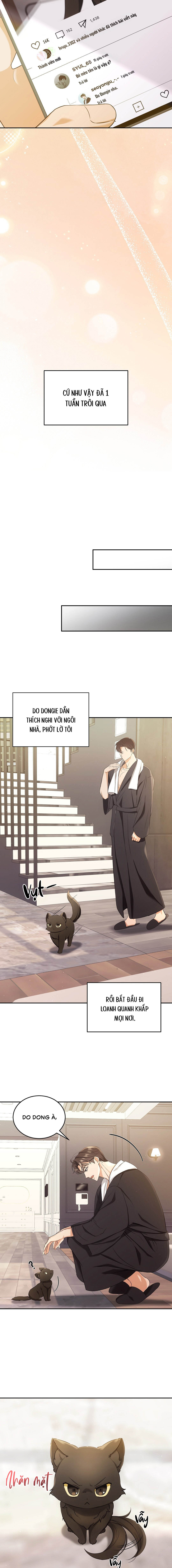 Liệu Pháp Mèo Con - Chap 02